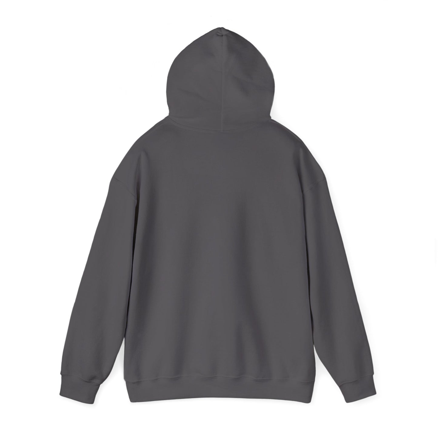 Hooded Sweatshirt | 'Powered by Prayer and Protein'