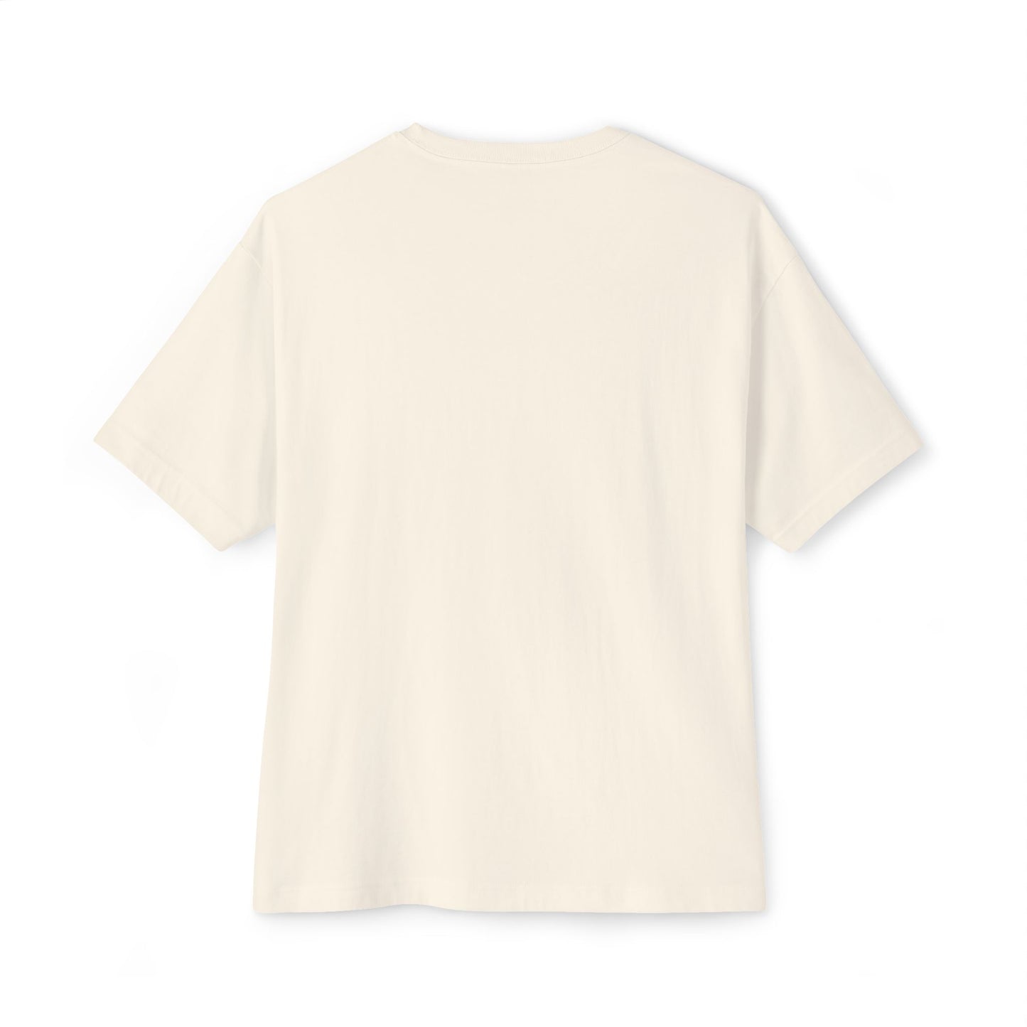 Unisex Oversized Boxy Tee | Armor of God : Gains Edition